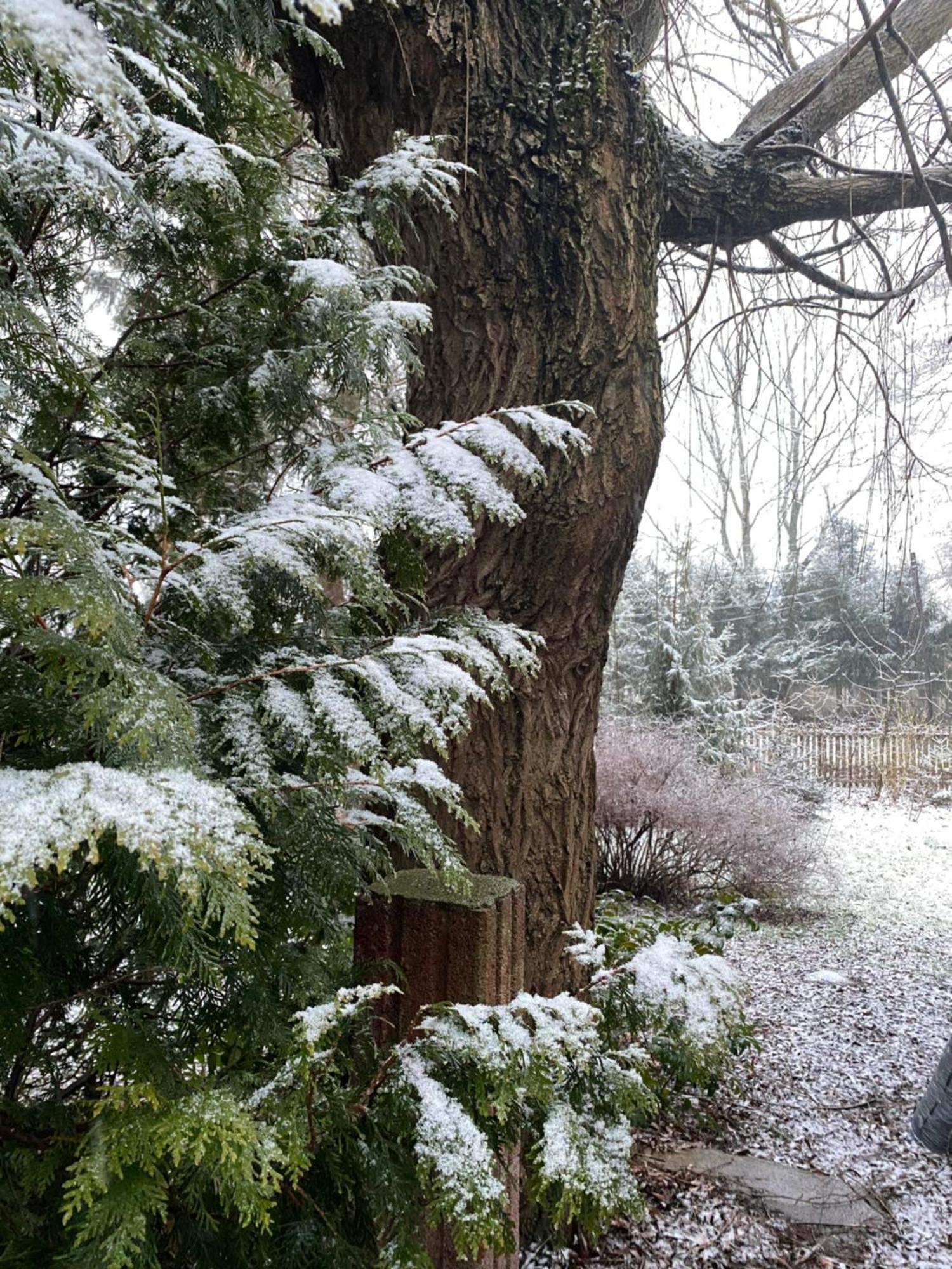 Wytchnienie * Radkow